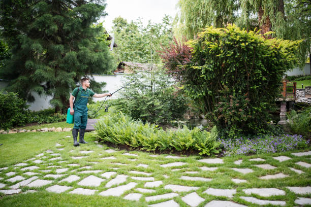 Best Wasp Removal Services  in La Selva Beach, CA