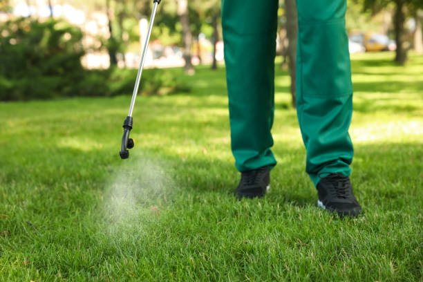 Best Flea Control Services  in La Selva Beach, CA